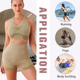 2PCS Seamless Women Yoga Set