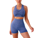 2PCS Seamless Women Yoga Set